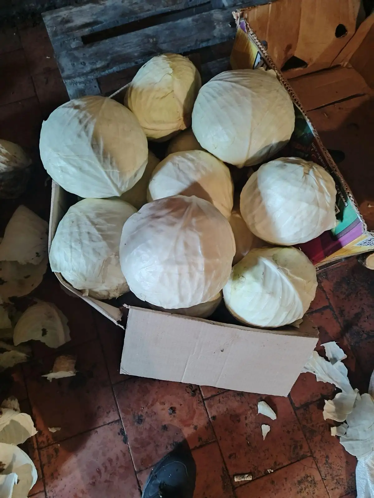 Капуста фото 3